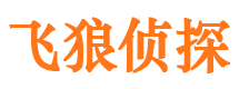 泗洪侦探公司